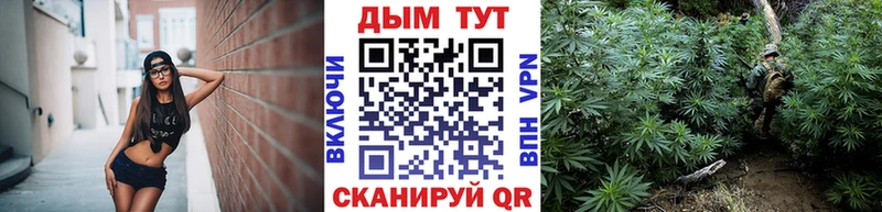 Бошки Шишки MAZAR  ссылка на мегу tor  Кострома  продажа наркотиков 